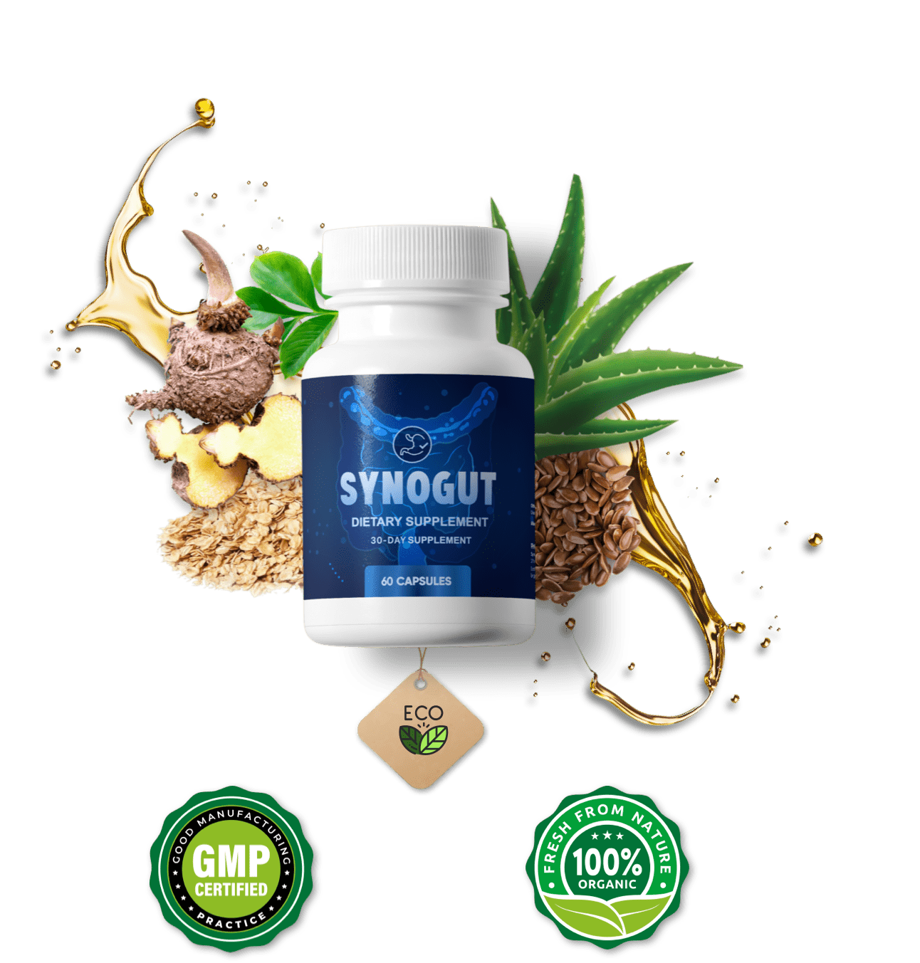 SynoGut Official Supplement Bottle